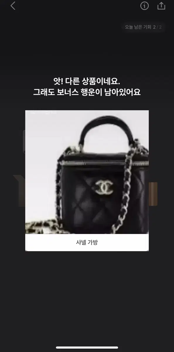 Chanel bag